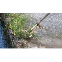 weed brush for grass trimmer